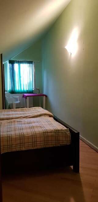 Гостевой дом Guest house Likani 2017 Боржоми Двухместный номер с 1 кроватью и общей ванной комнатой-4